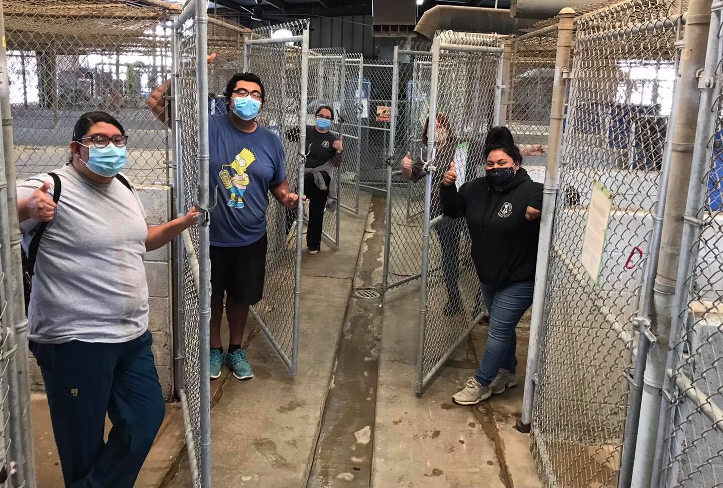 Humane Society of Imperial Valley clears 21 kennels